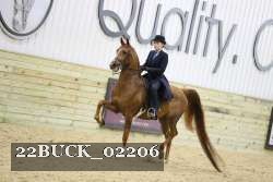 22BUCK_02206 proof
