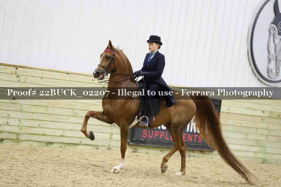 Proof 22BUCK_02207