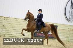 22BUCK_02207 proof