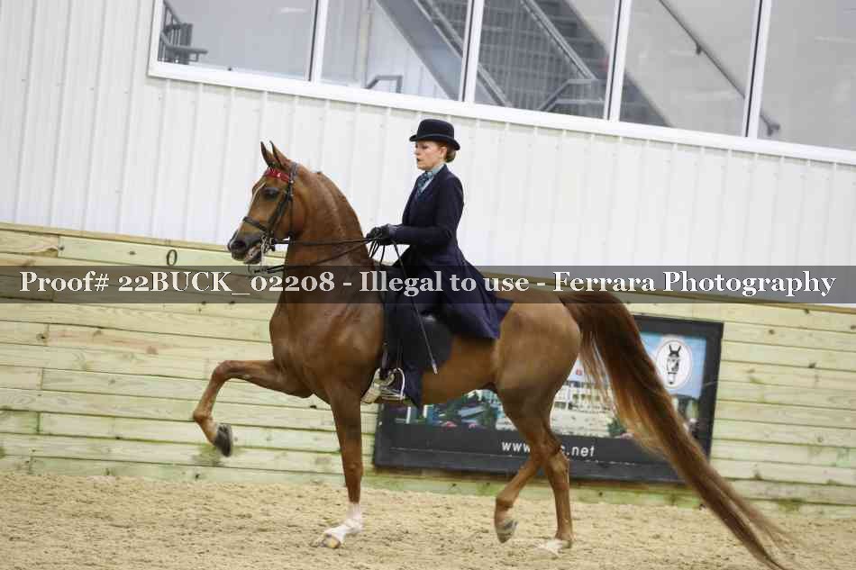 Proof 22BUCK_02208