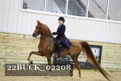 22BUCK_02208 proof