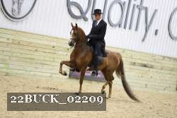 22BUCK_02209 proof