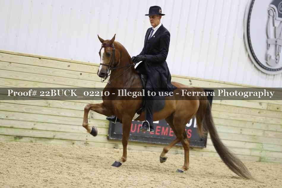 Proof 22BUCK_02210