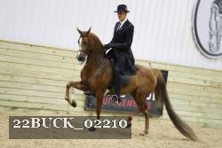 22BUCK_02210 proof