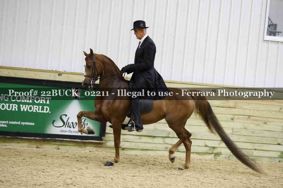 Proof 22BUCK_02211