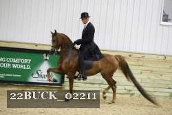 22BUCK_02211 proof