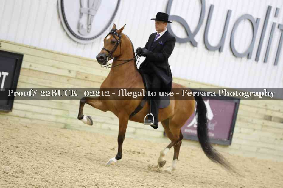 Proof 22BUCK_02212
