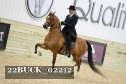 22BUCK_02212 proof