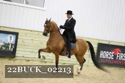 22BUCK_02213 proof