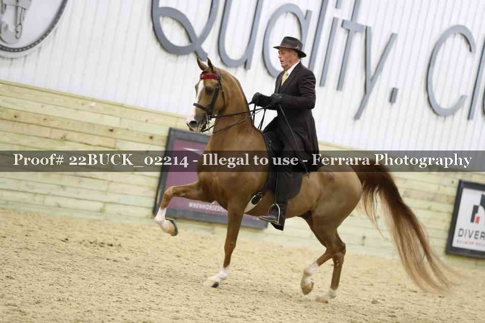 Proof 22BUCK_02214