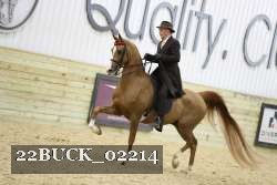 22BUCK_02214 proof