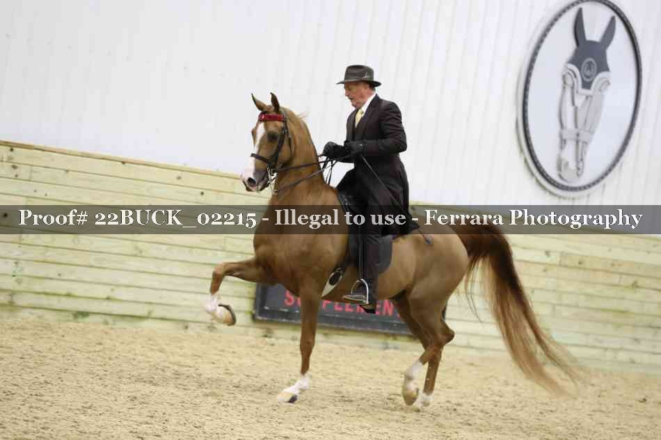 Proof 22BUCK_02215