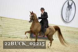 22BUCK_02215 proof
