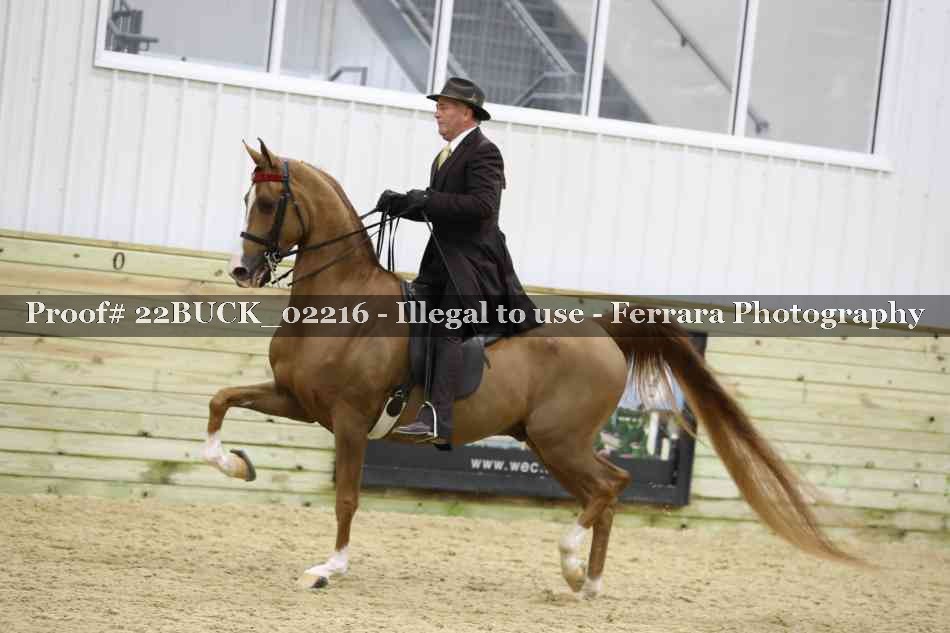 Proof 22BUCK_02216