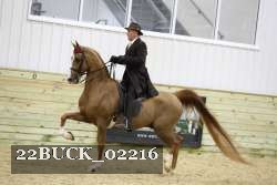 22BUCK_02216 proof
