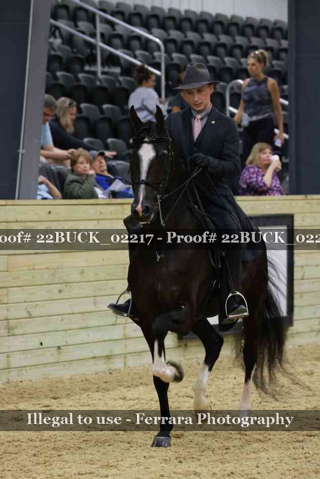 Proof 22BUCK_02217