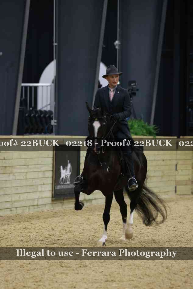 Proof 22BUCK_02218