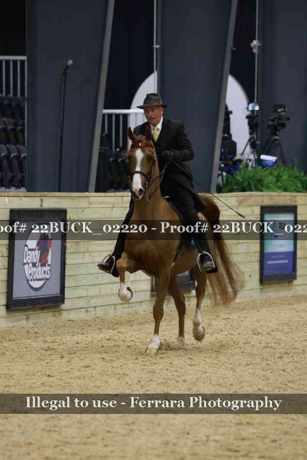 Proof 22BUCK_02220