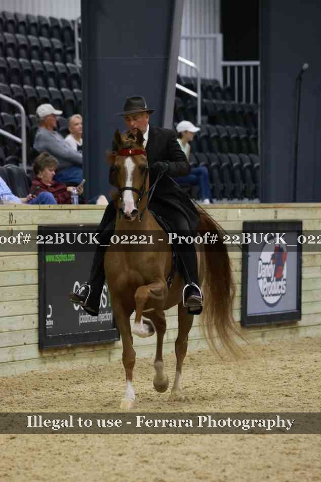 Proof 22BUCK_02221