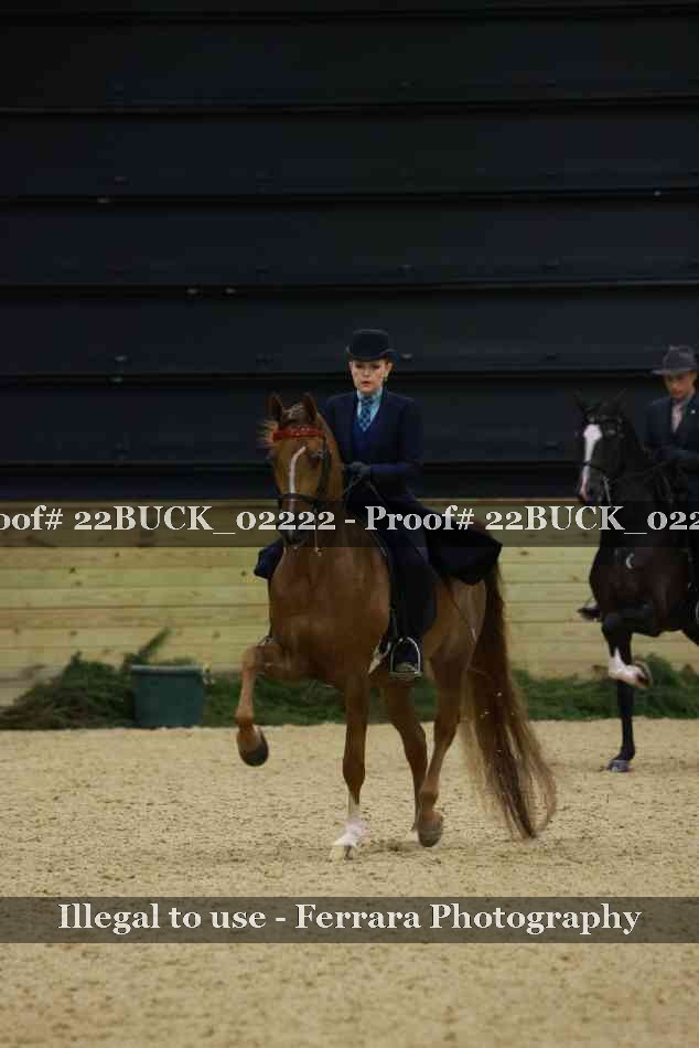 Proof 22BUCK_02222