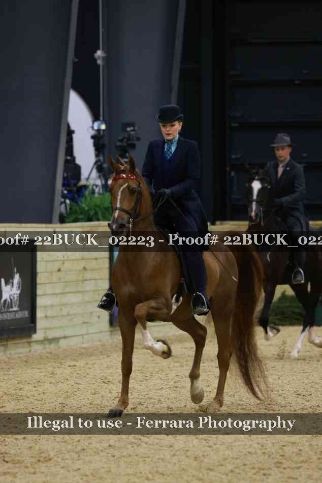 Proof 22BUCK_02223