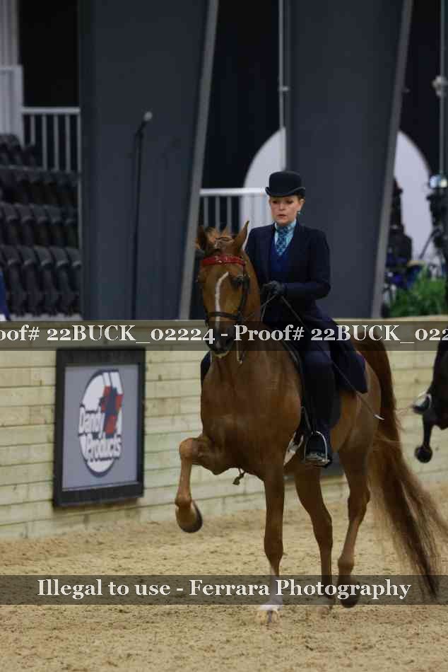 Proof 22BUCK_02224