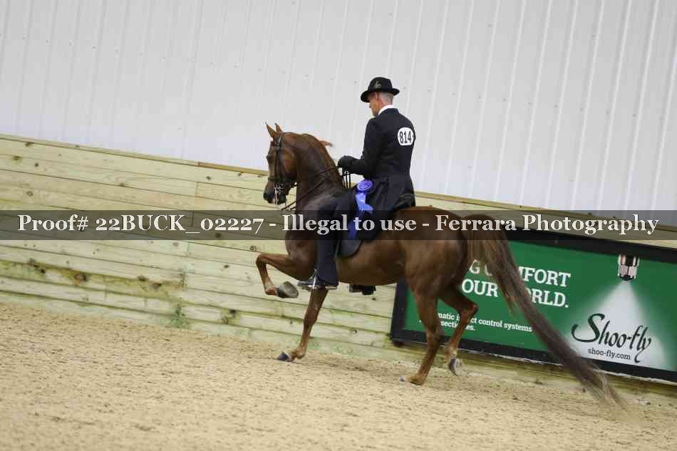 Proof 22BUCK_02227