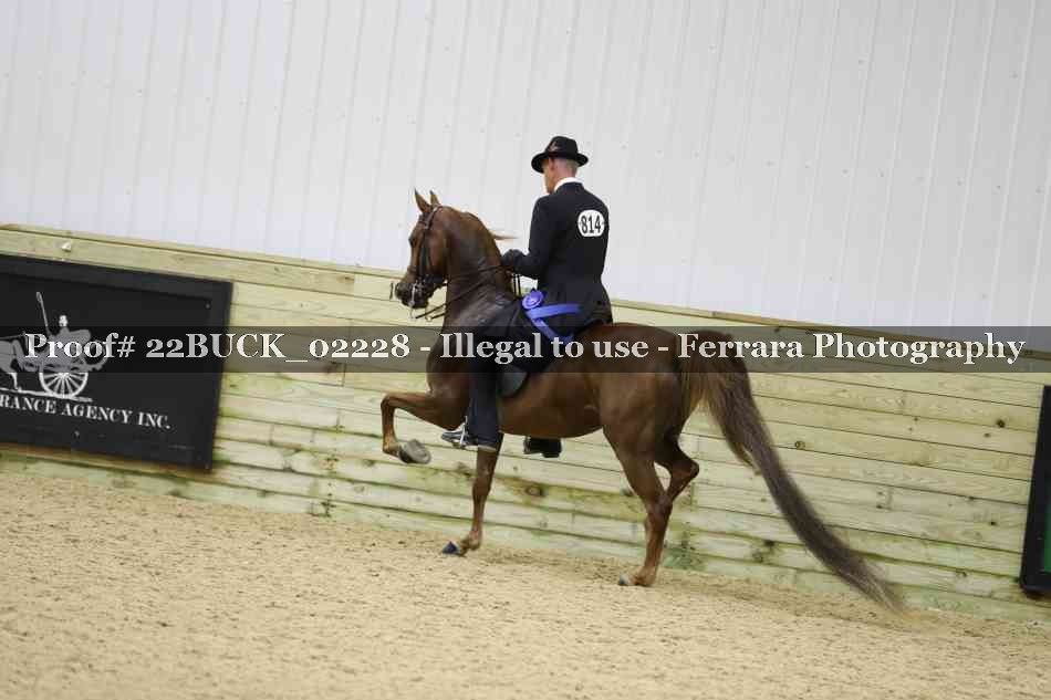 Proof 22BUCK_02228