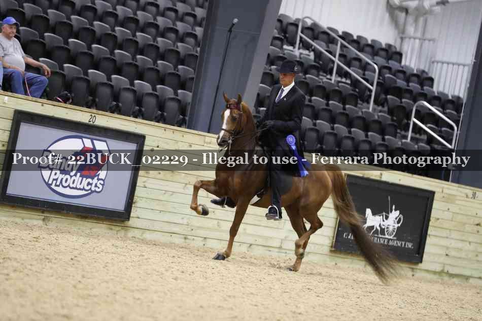 Proof 22BUCK_02229