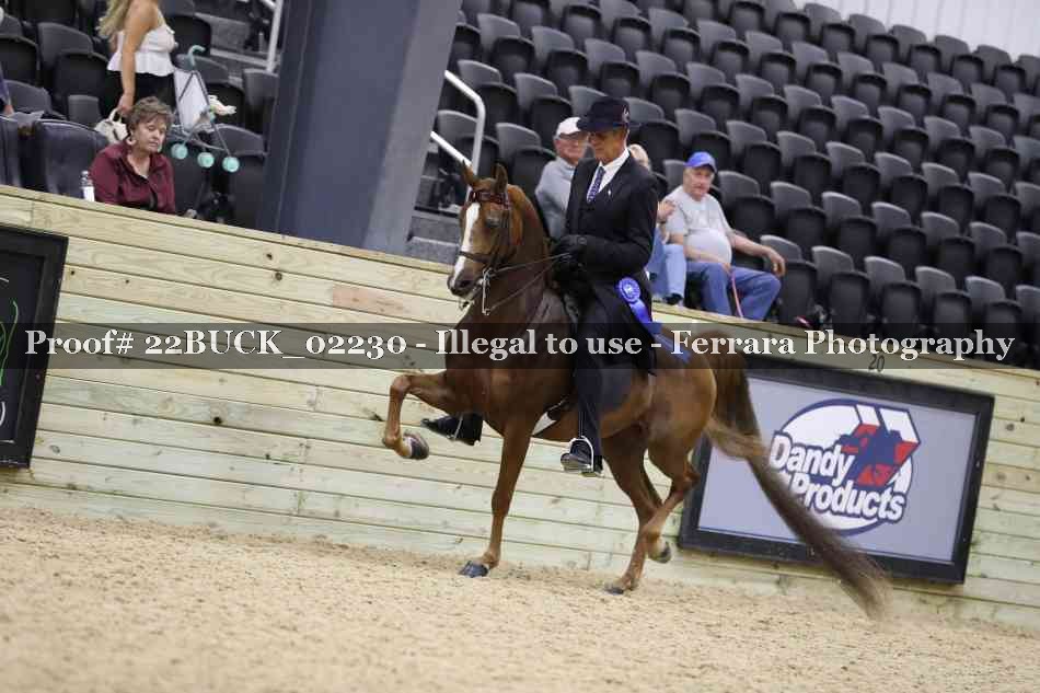 Proof 22BUCK_02230