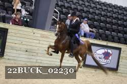 22BUCK_02230 proof
