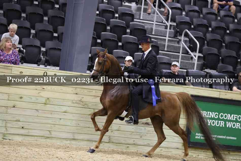 Proof 22BUCK_02231