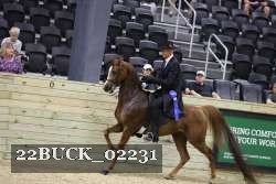 22BUCK_02231 proof