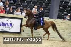22BUCK_02232 proof