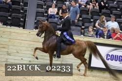 22BUCK_02233 proof