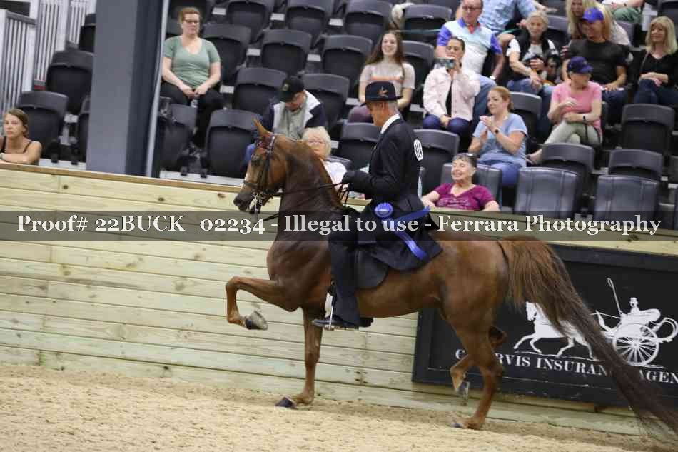 Proof 22BUCK_02234