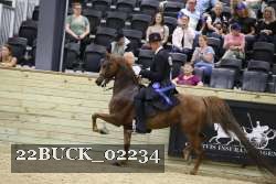 22BUCK_02234 proof