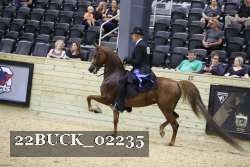 22BUCK_02235 proof