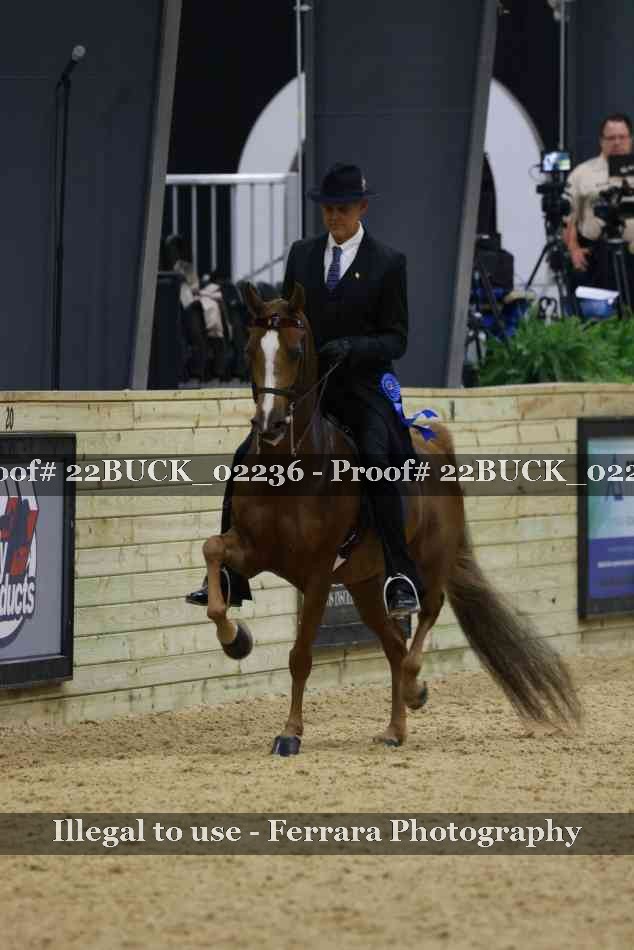 Proof 22BUCK_02236