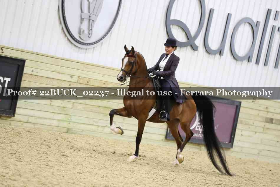 Proof 22BUCK_02237