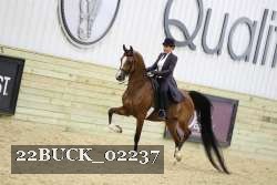 22BUCK_02237 proof