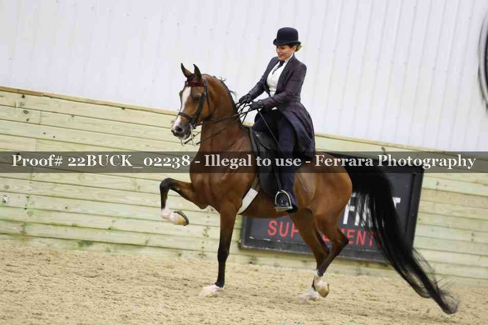 Proof 22BUCK_02238