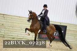 22BUCK_02238 proof