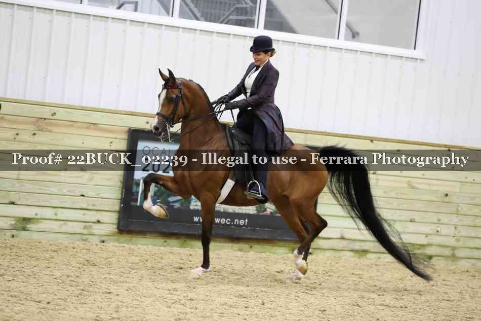 Proof 22BUCK_02239