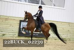 22BUCK_02239 proof