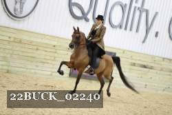 22BUCK_02240 proof