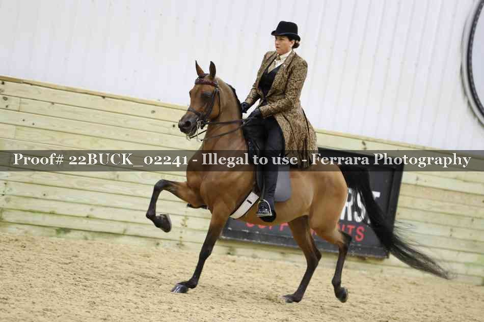 Proof 22BUCK_02241