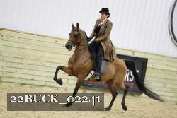 22BUCK_02241 proof