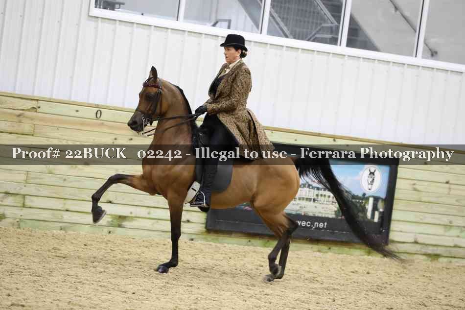 Proof 22BUCK_02242