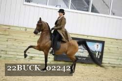 22BUCK_02242 proof